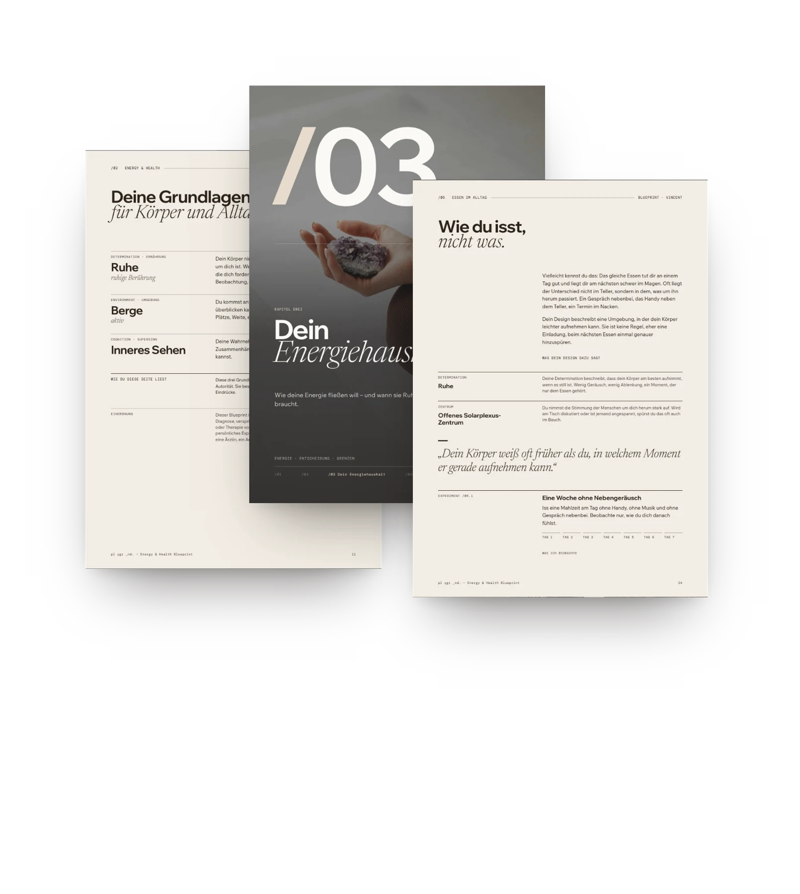 Seiten aus dem Energy & Health Blueprint