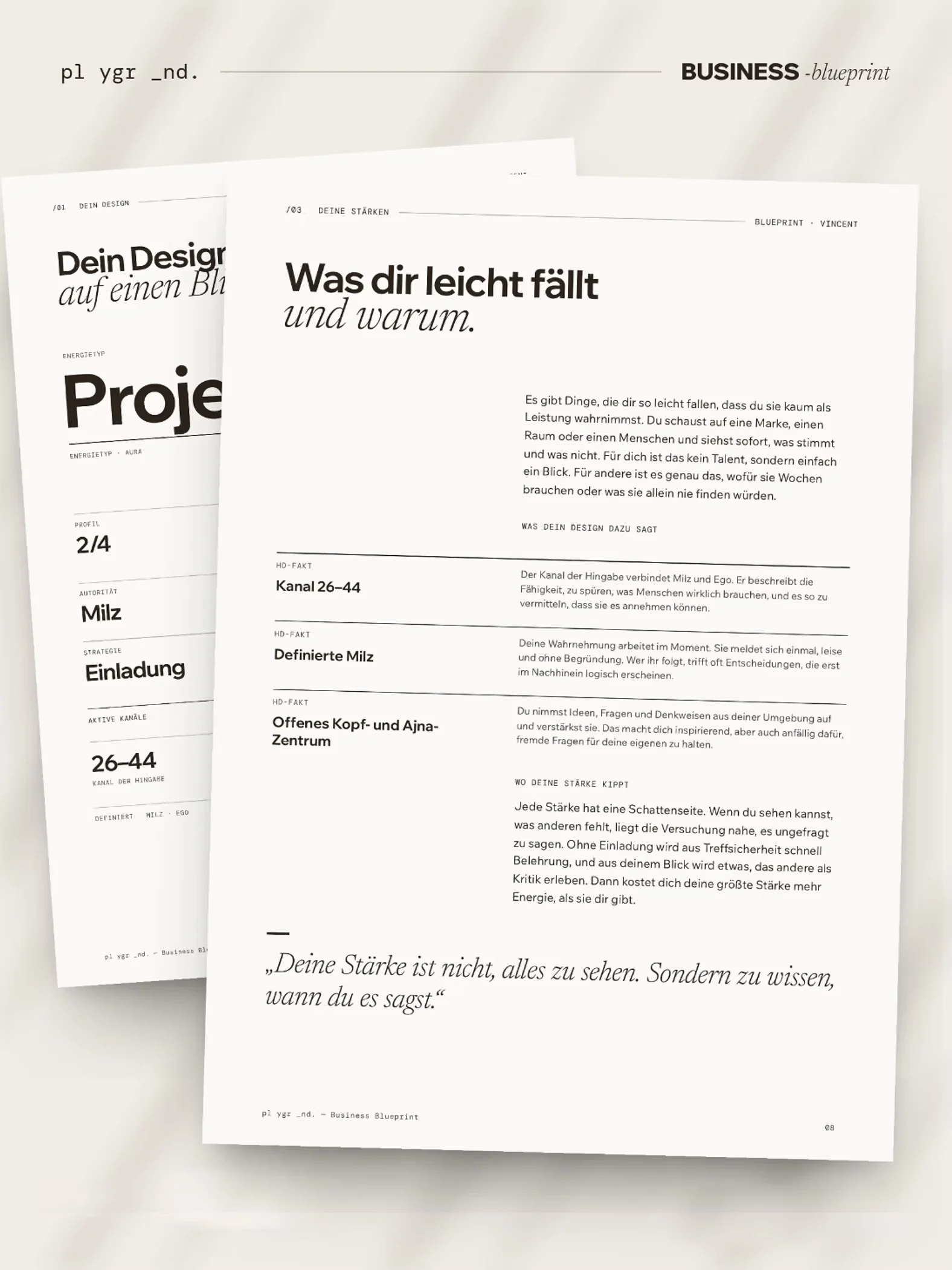 Seite aus dem Business Blueprint: Übersicht „Dein Design auf einen Blick“ und „Was dir leicht fällt und warum“