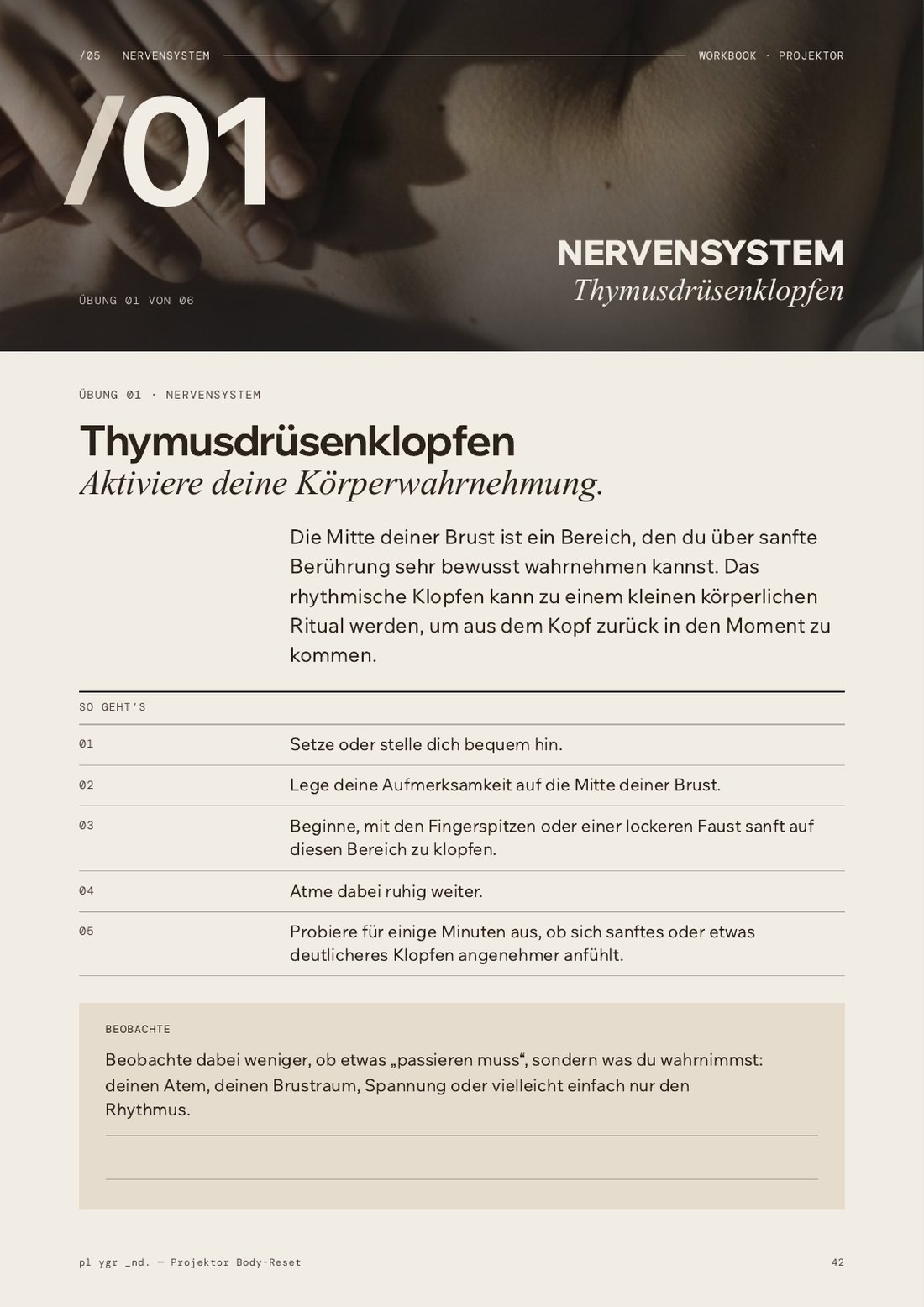 Dein Nervensystem