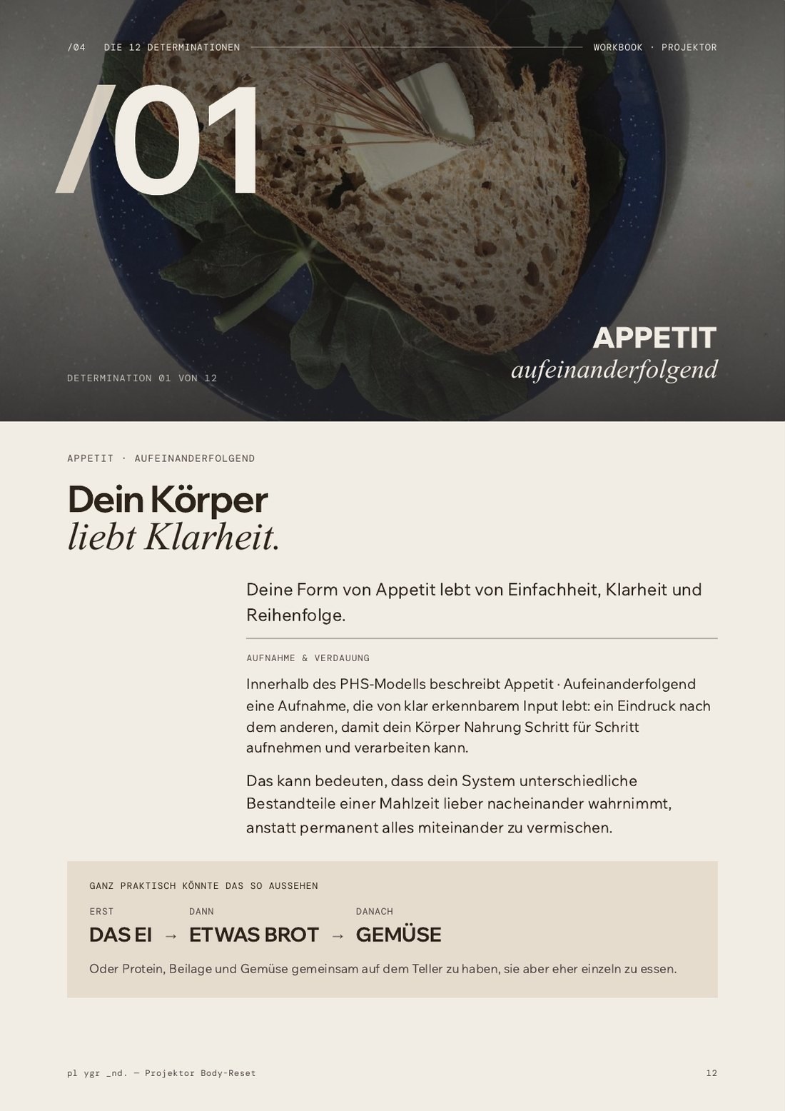 Ebene 02: Aufnahme & Ernährung