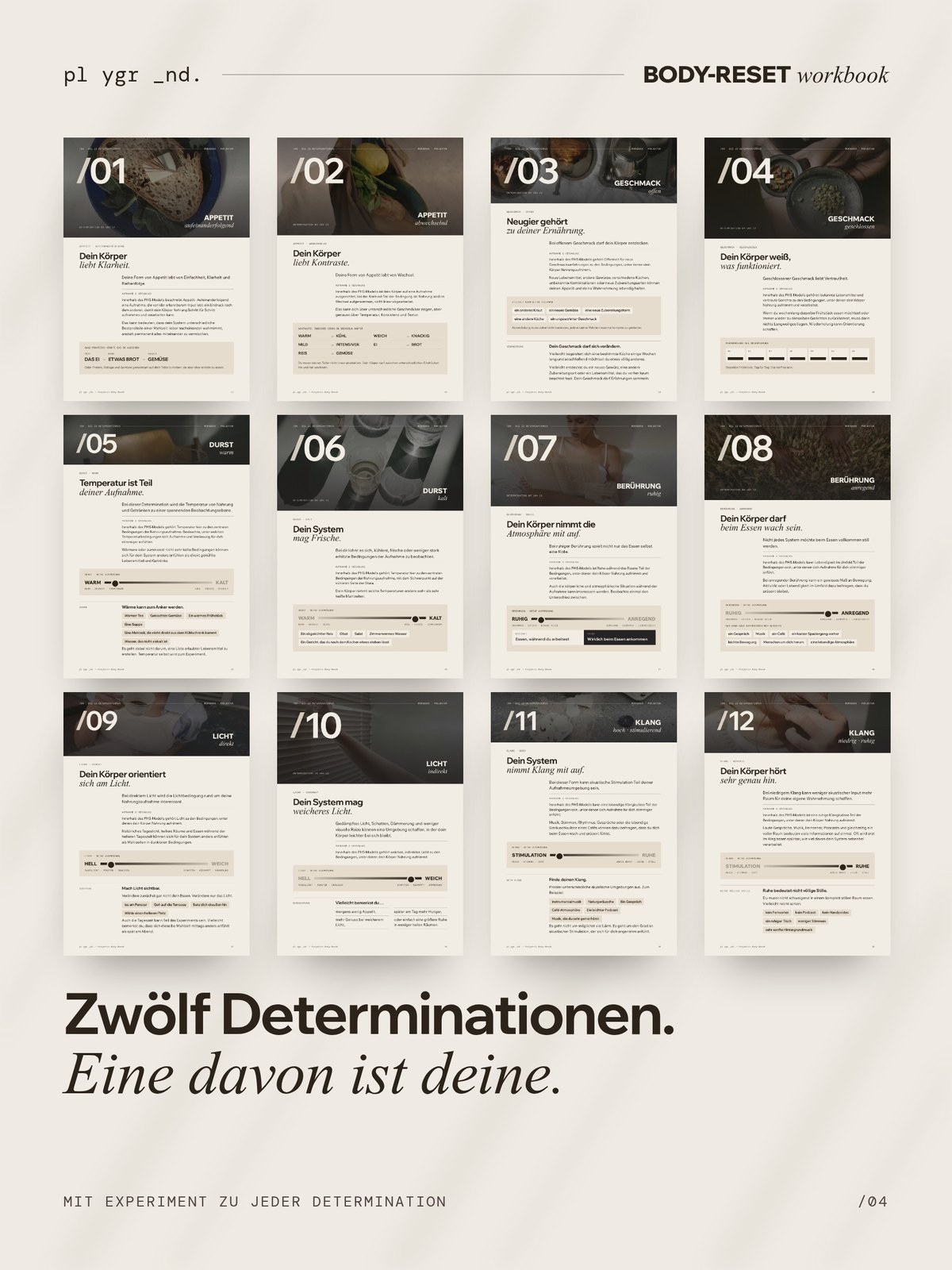 Zwölf Determinationen